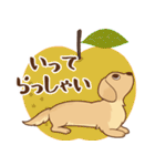ダックス大好き【秋】クリーム（個別スタンプ：14）