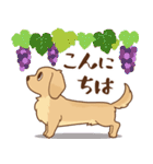 ダックス大好き【秋】クリーム（個別スタンプ：27）