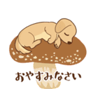ダックス大好き【秋】クリーム（個別スタンプ：32）
