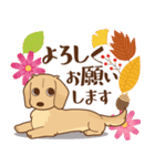 ダックス大好き【秋】クリーム（個別スタンプ：33）