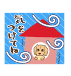 ダックス大好き【秋】クリーム（個別スタンプ：36）
