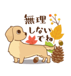 ダックス大好き【秋】クリーム（個別スタンプ：38）