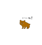 くまのオラちゃん（個別スタンプ：17）