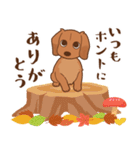 ダックス大好き！【秋】レッド（個別スタンプ：9）