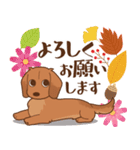 ダックス大好き！【秋】レッド（個別スタンプ：33）