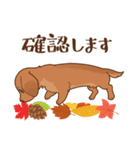 ダックス大好き！【秋】レッド（個別スタンプ：35）