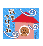 ダックス大好き！【秋】レッド（個別スタンプ：36）
