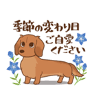 ダックス大好き！【秋】レッド（個別スタンプ：37）