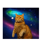 宇宙の中の猫HD（個別スタンプ：6）