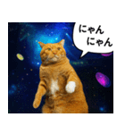 宇宙の中の猫HD（個別スタンプ：11）