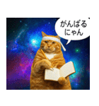 宇宙の中の猫HD（個別スタンプ：17）