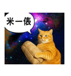 宇宙の中の猫HD（個別スタンプ：29）