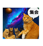 宇宙の中の猫HD（個別スタンプ：37）