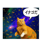 宇宙の中の猫HD（個別スタンプ：40）