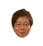 アレンジ機能といっしょ 顔だらけ（個別スタンプ：14）