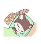 「てぷにゃん日和」～行ってきます。（個別スタンプ：33）