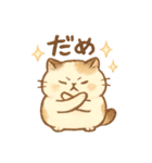 ほんわか猫とゆるっと毎日（個別スタンプ：24）
