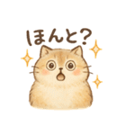 ほんわか猫とゆるっと毎日（個別スタンプ：25）