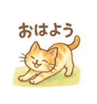 大好き＆ありがとう猫（個別スタンプ：16）