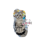 ミルクのきまぐれにゃ（個別スタンプ：9）