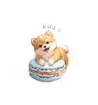 柴犬×スイーツ♡（個別スタンプ：1）
