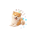柴犬×スイーツ♡（個別スタンプ：4）