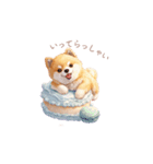 柴犬×スイーツ♡（個別スタンプ：6）