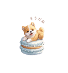 柴犬×スイーツ♡（個別スタンプ：9）