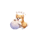 柴犬×スイーツ♡（個別スタンプ：11）