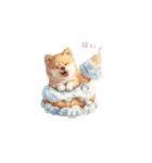 柴犬×スイーツ♡（個別スタンプ：13）