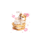 柴犬×スイーツ♡（個別スタンプ：15）