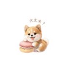 柴犬×スイーツ♡（個別スタンプ：18）