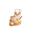 柴犬×スイーツ♡（個別スタンプ：19）