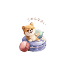 柴犬×スイーツ♡（個別スタンプ：20）