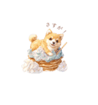 柴犬×スイーツ♡（個別スタンプ：22）
