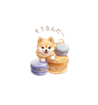 柴犬×スイーツ♡（個別スタンプ：25）