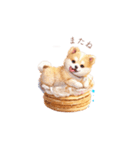 柴犬×スイーツ♡（個別スタンプ：26）