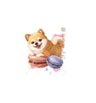 柴犬×スイーツ♡（個別スタンプ：30）