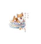 柴犬×スイーツ♡（個別スタンプ：31）