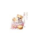柴犬×スイーツ♡（個別スタンプ：33）