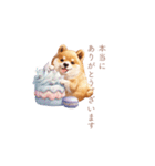 柴犬×スイーツ♡（個別スタンプ：37）