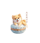柴犬×スイーツ♡（個別スタンプ：38）