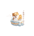 柴犬×スイーツ♡（個別スタンプ：40）