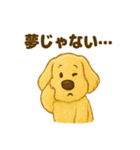 ふわもこ犬の日常スタンプ1（個別スタンプ：3）