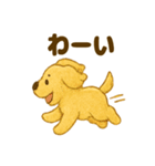 ふわもこ犬の日常スタンプ1（個別スタンプ：6）