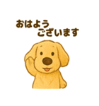 ふわもこ犬の日常スタンプ1（個別スタンプ：8）