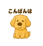 ふわもこ犬の日常スタンプ1（個別スタンプ：11）