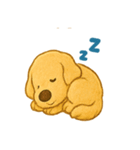 ふわもこ犬の日常スタンプ1（個別スタンプ：16）
