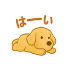 ふわもこ犬の日常スタンプ1（個別スタンプ：17）
