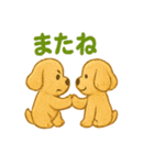 ふわもこ犬の日常スタンプ1（個別スタンプ：21）
